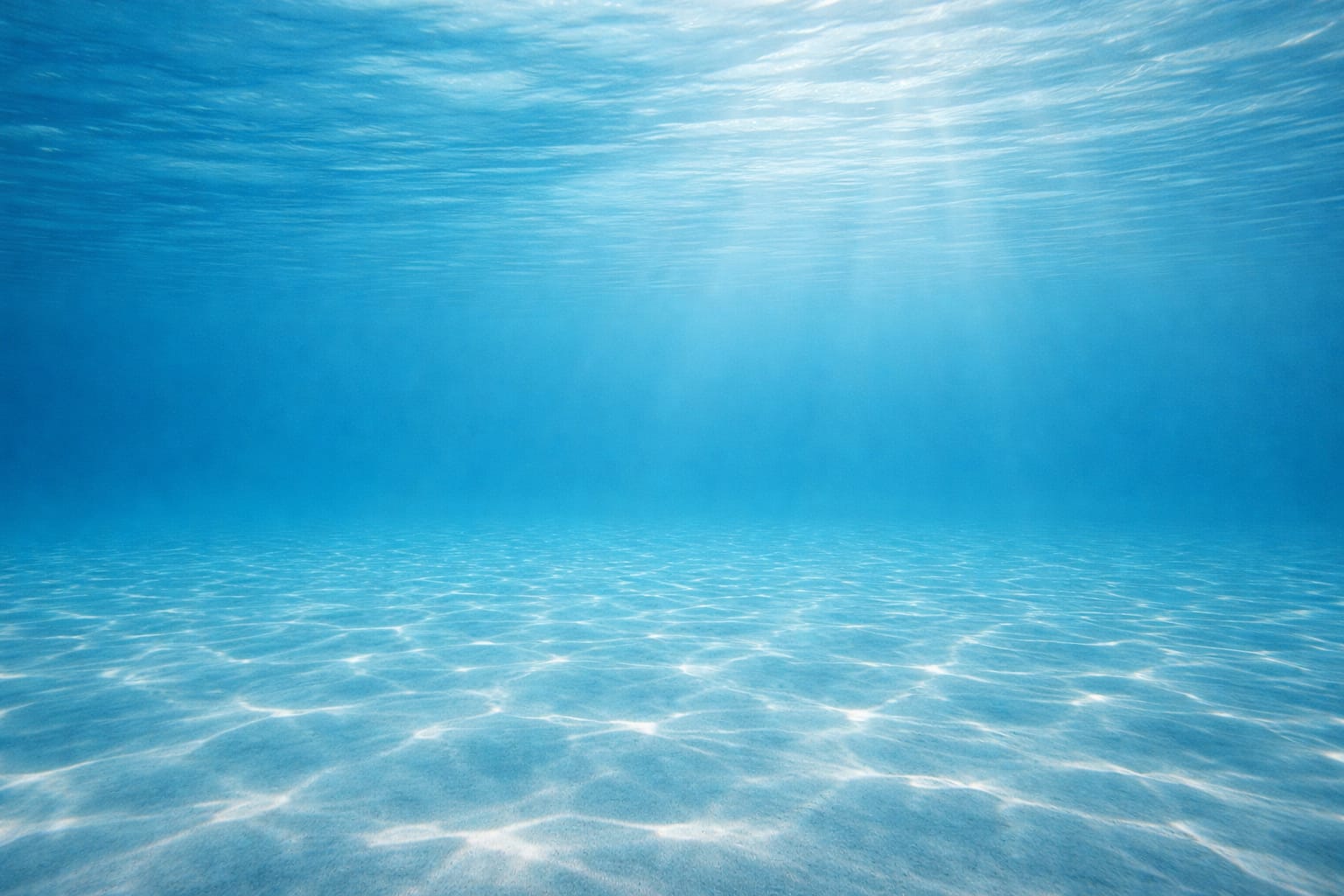 whatsapp image 2026 01 21 at 1.06.32 am